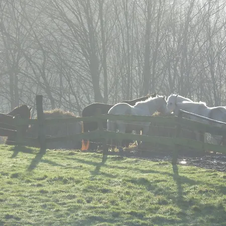 Ferienhof Fraider Farma Benz (Ostholstein)