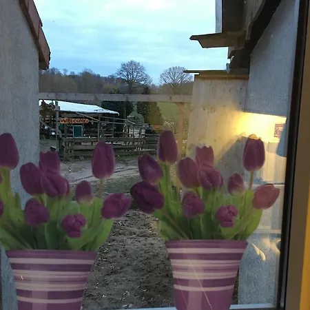 Farma Ferienhof Fraider Benz (Ostholstein)